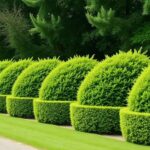 Superpro Bushes for Spirited Driving